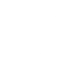 VSLINE CLINIC SEOUL GLOBAL CENTER